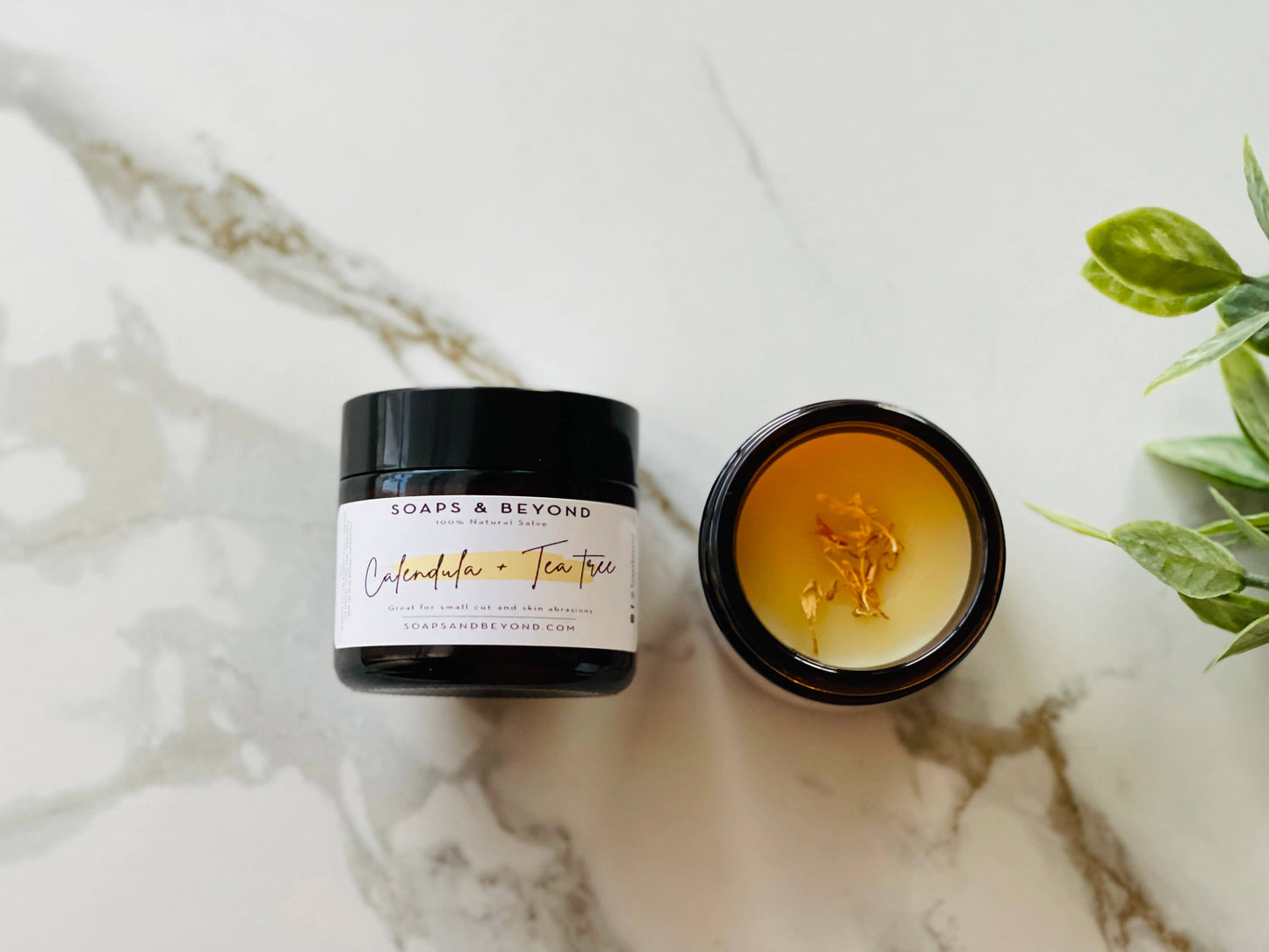 Healing Salve Tepezcohuite